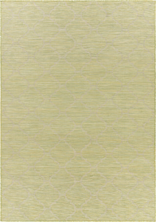 Surya Pasadena PSA-2337 Area Rug Main