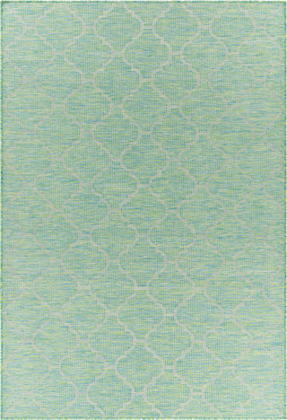 Surya Pasadena PSA-2346 Area Rug Main