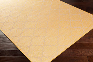 Surya Pasadena PSA-2347 Area Rug Corner Shot