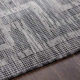 Surya Pasadena PSA-2350 Area Rug