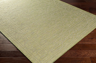 Surya Pasadena PSA-2355 Area Rug Corner Shot
