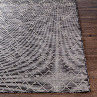 Livabliss Pasadena PSA-2362 Area Rug