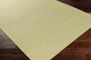 Surya Pasadena PSA-2366 Area Rug Corner Shot