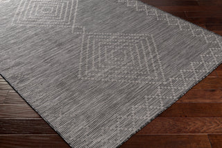 Surya Pasadena PSA-2368 Area Rug Corner Shot