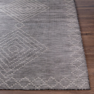 Surya Pasadena PSA-2368 Area Rug