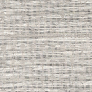 Livabliss Pasadena PSA-2376 Area Rug