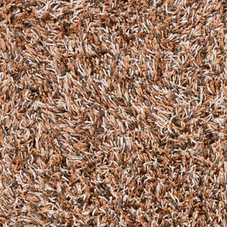 Surya Prism PSM-8002 Mocha Shag Weave Area Rug Sample Swatch