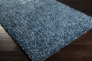 Surya Prism PSM-8004 Teal Shag Weave Area Rug 5x8 Corner