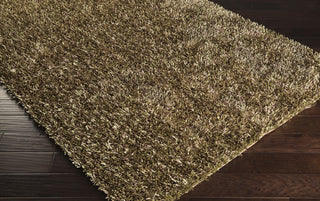 Surya Prism PSM-8006 Taupe Shag Weave Area Rug 5x8 Corner