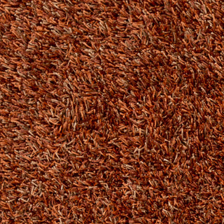 Surya Prism PSM-8012 Rust Shag Weave Area Rug Sample Swatch