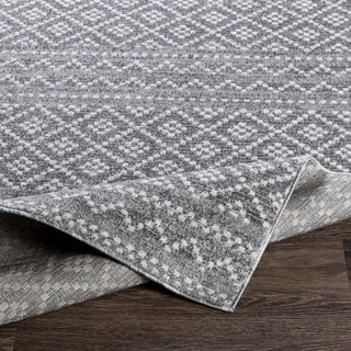 Livabliss Positano PSN-2300 Area Rug