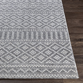 Livabliss Positano PSN-2300 Area Rug