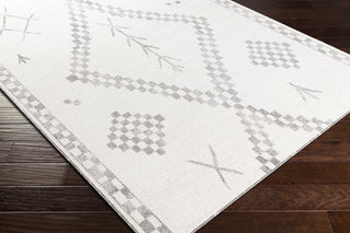 Surya Positano PSN-2302 Area Rug