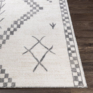 Surya Positano PSN-2302 Area Rug