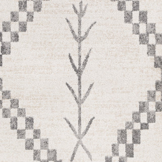 Surya Positano PSN-2302 Area Rug