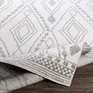 Livabliss Positano PSN-2303 Area Rug