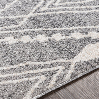 Livabliss Positano PSN-2304 Area Rug