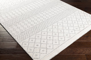 Surya Positano PSN-2308 Area Rug
