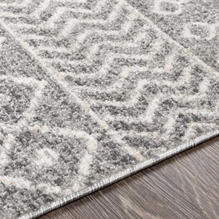 Livabliss Positano PSN-2310 Area Rug