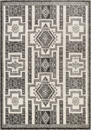 Surya Positano PSN-2317 Area Rug main image