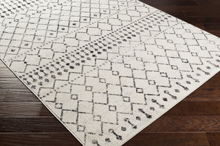 Livabliss Pisa PSS-2300 Area Rug