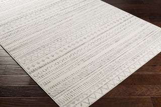 Livabliss Pisa PSS-2304 Area Rug