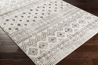 Livabliss Pisa PSS-2305 Area Rug