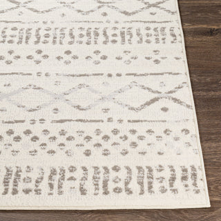 Livabliss Pisa PSS-2311 Area Rug