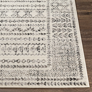 Livabliss Pisa PSS-2313 Area Rug