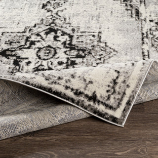 Livabliss Pisa PSS-2314 Area Rug