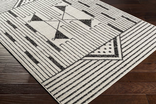 Livabliss Pisa PSS-2316 Area Rug