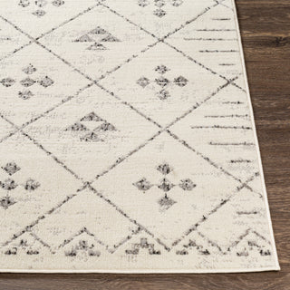 Livabliss Pisa PSS-2317 Area Rug