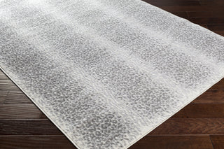 Livabliss Pisa PSS-2325 Area Rug