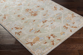 Surya Pisa PSS-2333 Area Rug Corner Shot