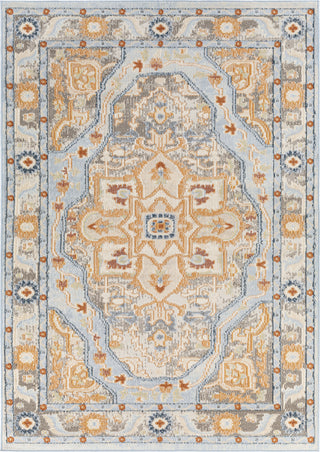 Surya Pisa PSS-2334 Area Rug main image