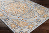 Surya Pisa PSS-2334 Area Rug Corner Shot