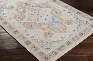 Surya Pisa PSS-2335 Area Rug Corner Shot