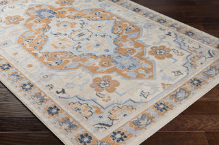 Surya Pisa PSS-2335 Area Rug Corner Shot