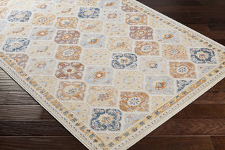 Surya Pisa PSS-2342 Area Rug Corner Shot
