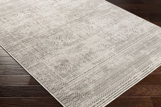 Surya Pisa PSS-2343 Area Rug Corner Shot
