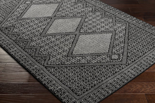Surya Pisa PSS-2346 Area Rug Corner Shot
