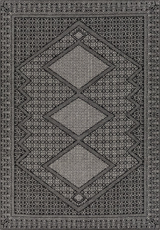 Surya Pisa PSS-2346 Area Rug main image