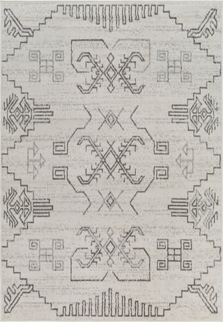 Surya Pisa PSS-2359 Area Rug main image