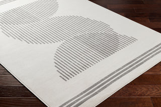 Surya Pisa PSS-2363 Area Rug Corner Shot