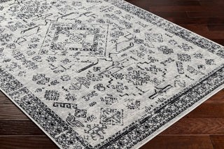 Surya Pisa PSS-2366 Area Rug Corner Shot