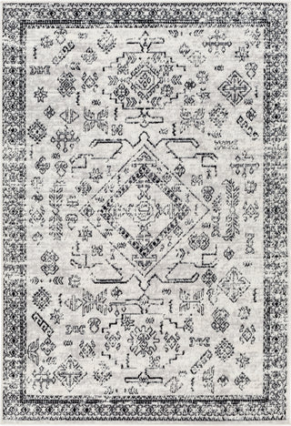 Surya Pisa PSS-2366 Area Rug main image