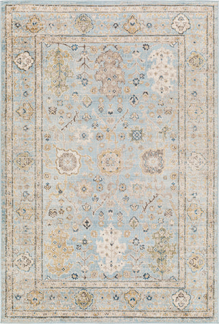 Surya Pertek PTK-2307 Area Rug main image