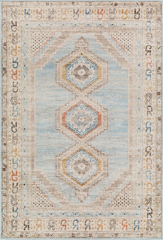 Surya Pertek PTK-2310 Area Rug main image