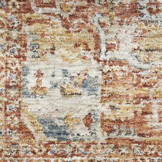 Nourison Petra PTR06 Ivory/Multi Area Rug Detail Image