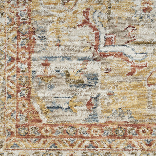 Nourison Petra PTR06 Iv/Rust Area Rug Room Image Feature